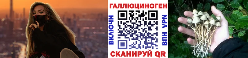 Галлюциногенные грибы Psilocybe  наркота  Нижневартовск 